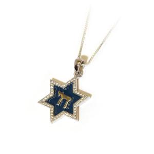 Sterling Silver Exquisite Silver Star Of David Pendant With CZ And Blue And Enamel
